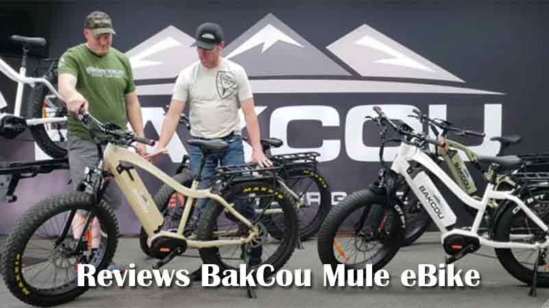 Reviews BakCou Mule eBike