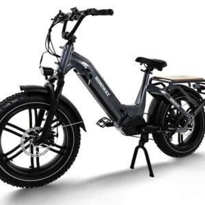 Electric Cargo Bike