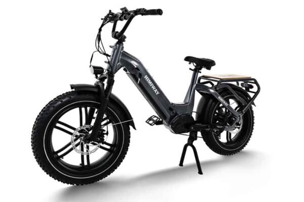 Electric Cargo Bike