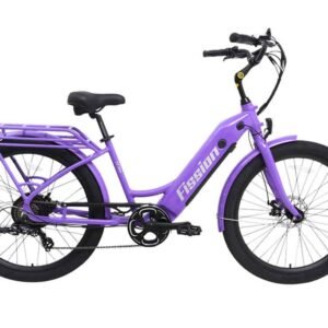 Electric Cruiser Bike Fission