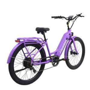 Electric Cruiser Bike Fission