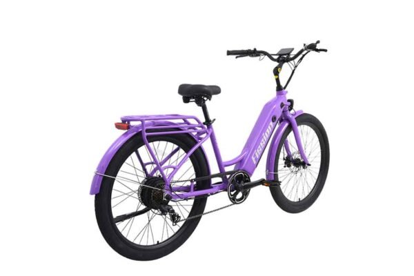 Electric Cruiser Bike Fission