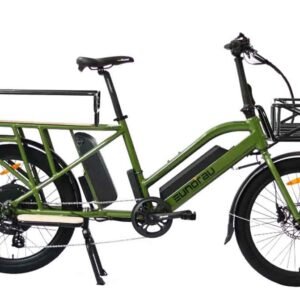 Electric Long Trail Cargo Bike Eunorau