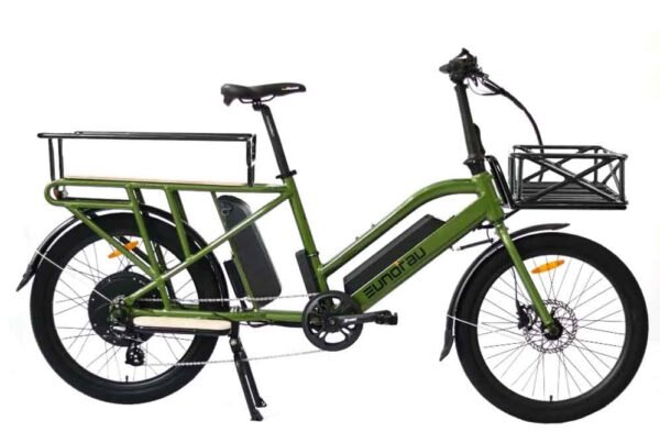 Electric Long Trail Cargo Bike Eunorau