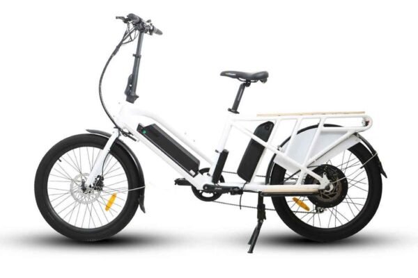 Electric Long Trail Cargo Bike Eunorau