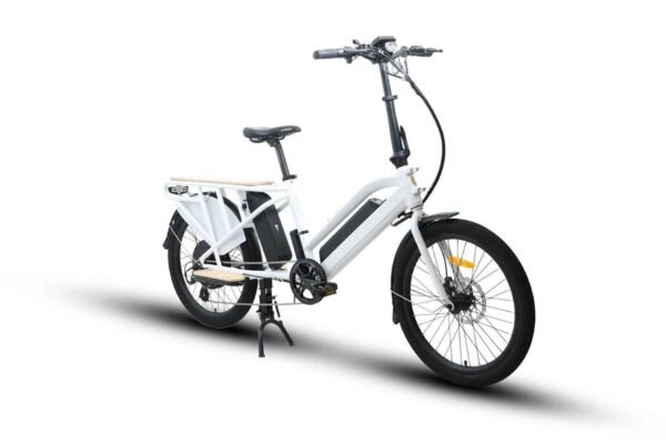 Electric Long Trail Cargo Bike Eunorau