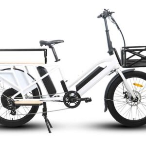 Electric Long Trail Cargo Bike Eunorau